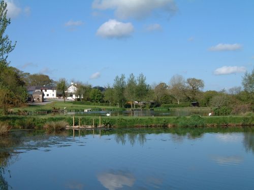 white house mill fishery