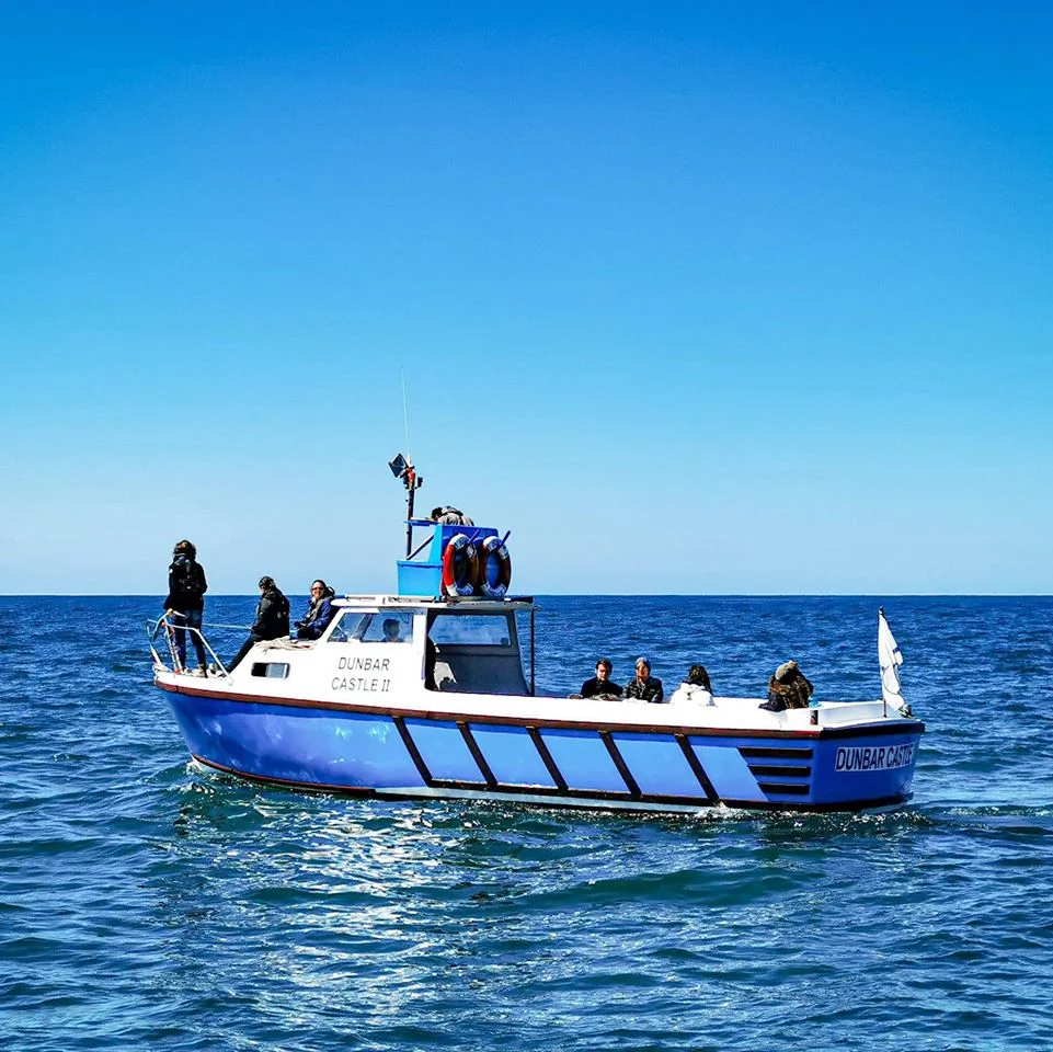Awesome angling new quay