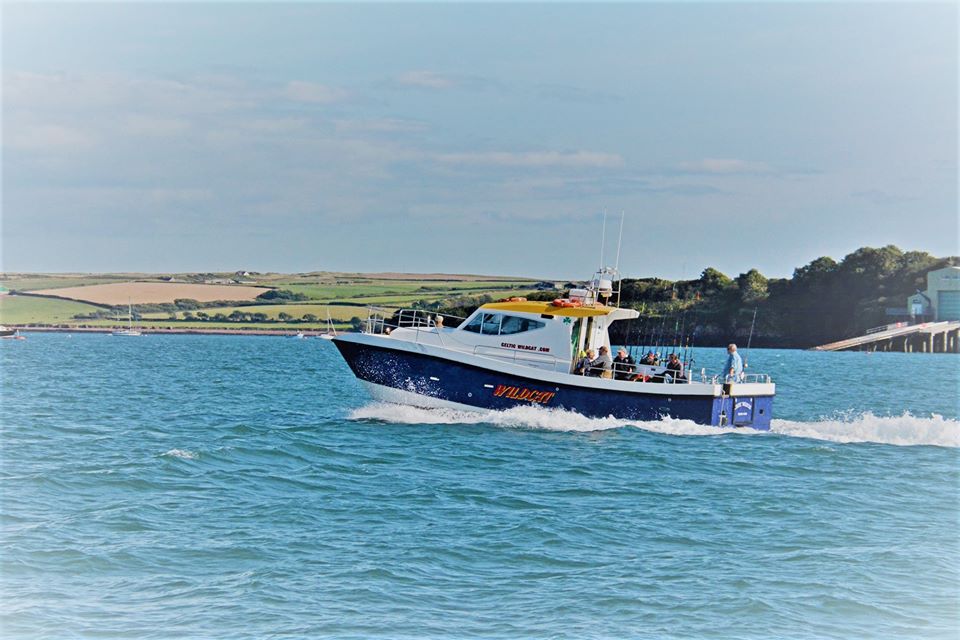 Celtic wildcat fishing boat