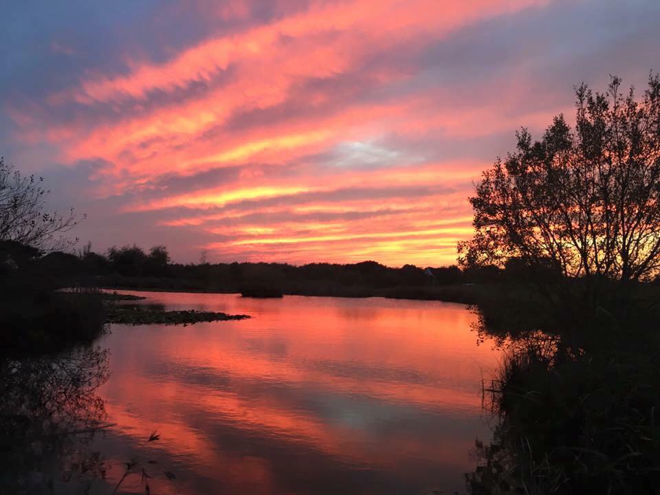 Hazel court ponds fishery