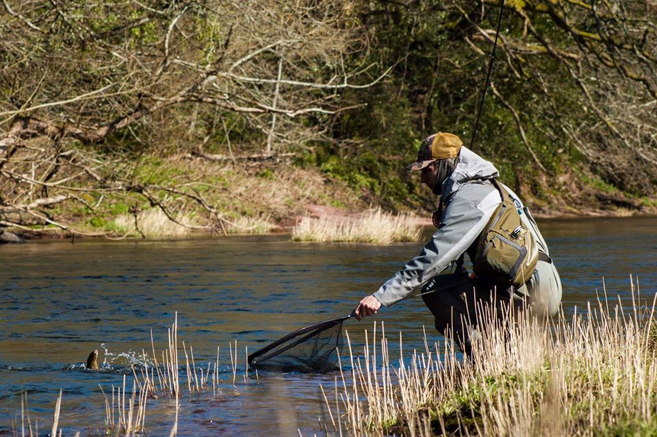 Royal oak fishing club