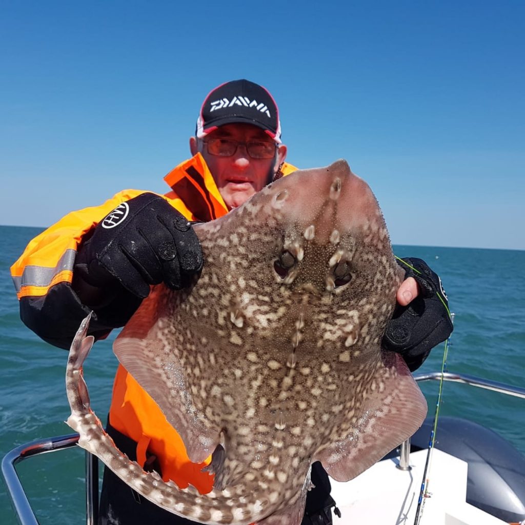 Thornback Ray ar daith bysgota epig ar chwedl Cei newydd Cymru