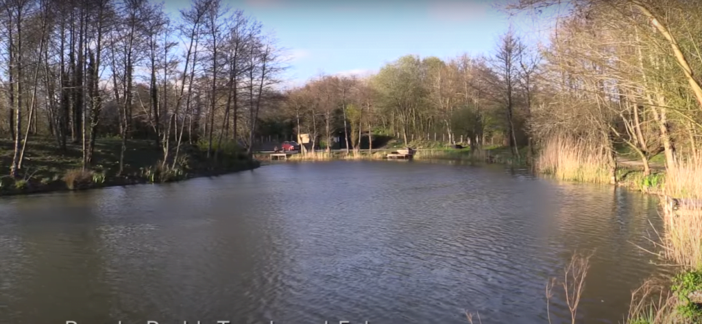 Treoes pond carp fishing