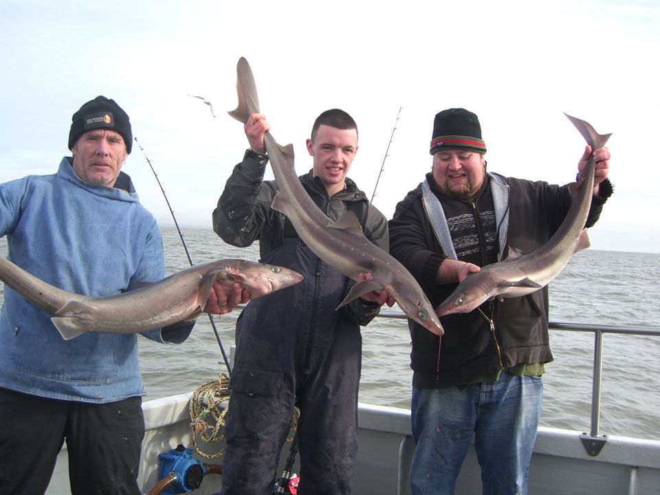 anchor man charter