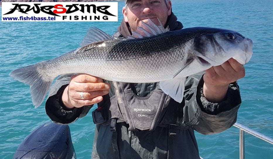 awesome fishing bass west wales