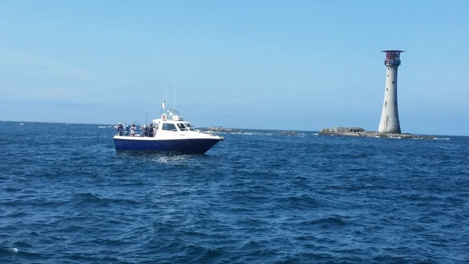 broadside boat charter shark fishing