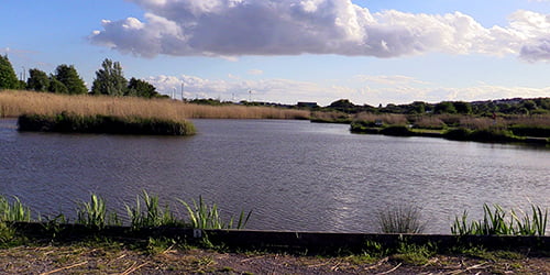 carols pond barry