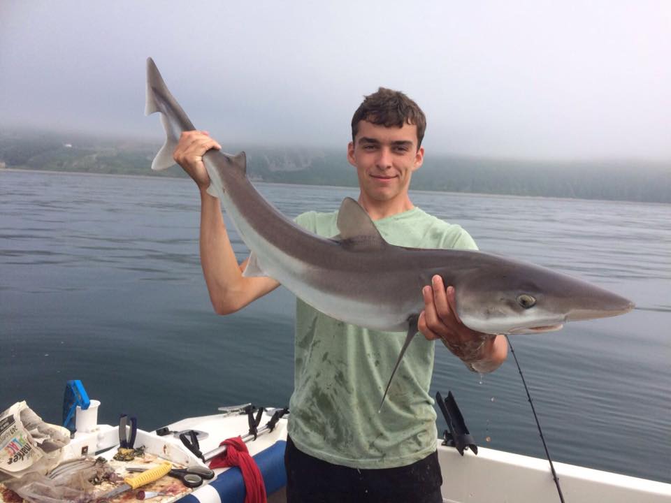 four seasons fishing