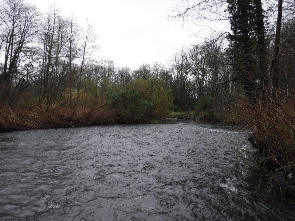 llantarnam abby fishing afon lwyd