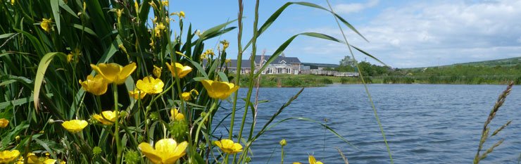 llyn lakes fishing