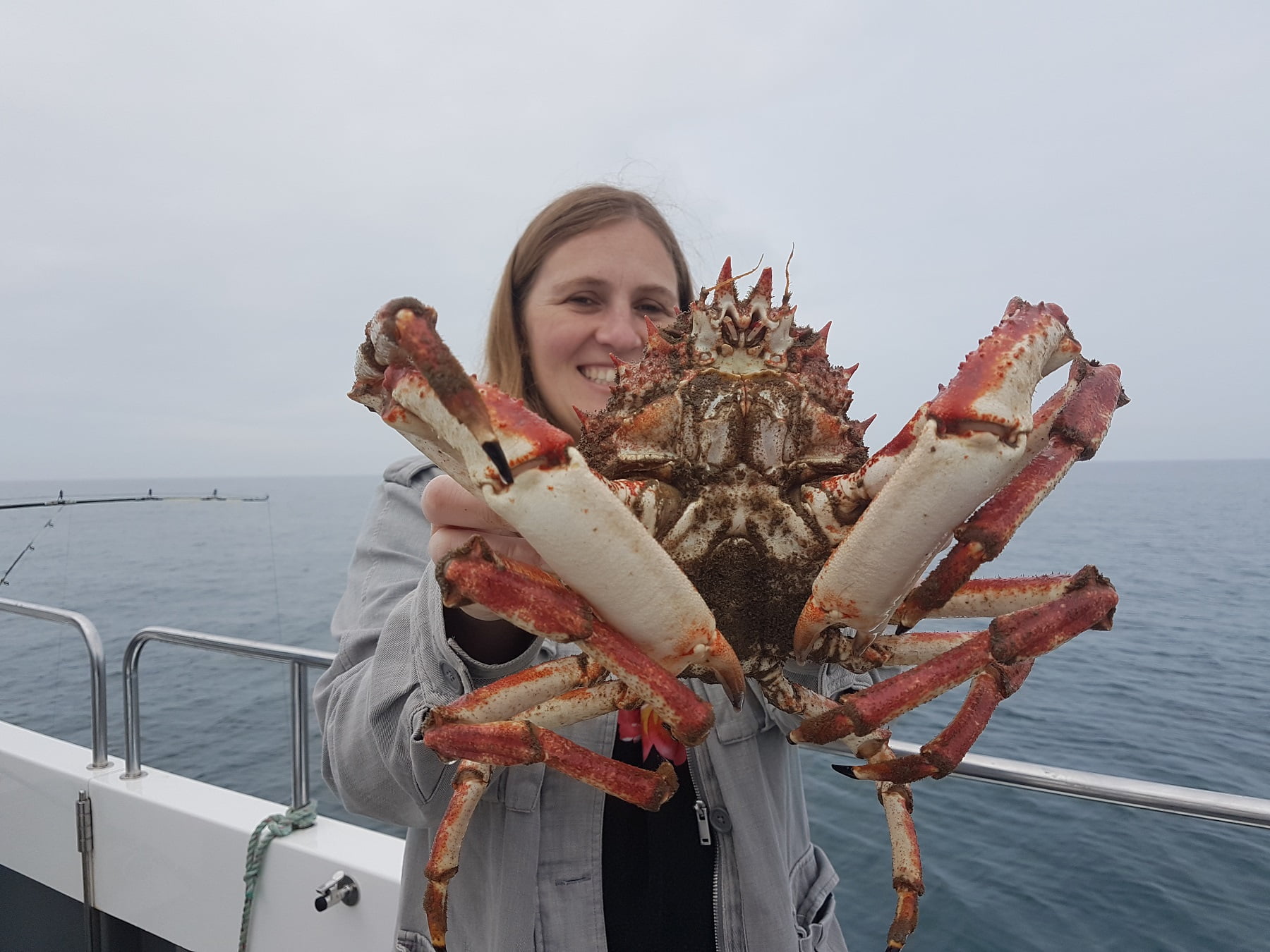 monster spider crab