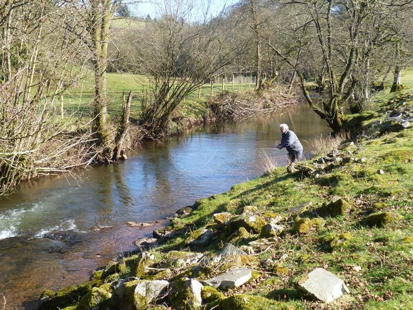 The Fishing Passport: River Cilieni (Parc Fishery) - Fishing in Wales