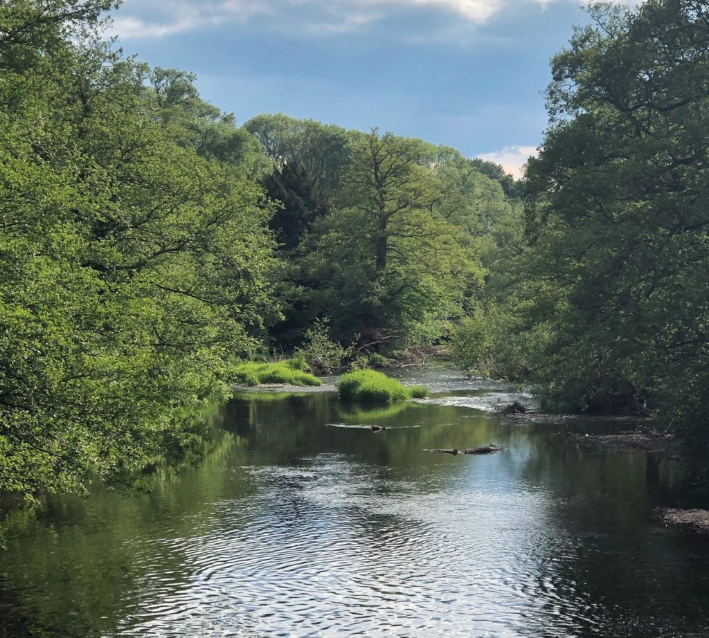 river monnow trout fishing