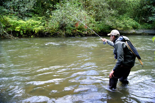 Osprey Fly Fishers Association river rhondda