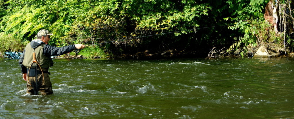 River taff fishing