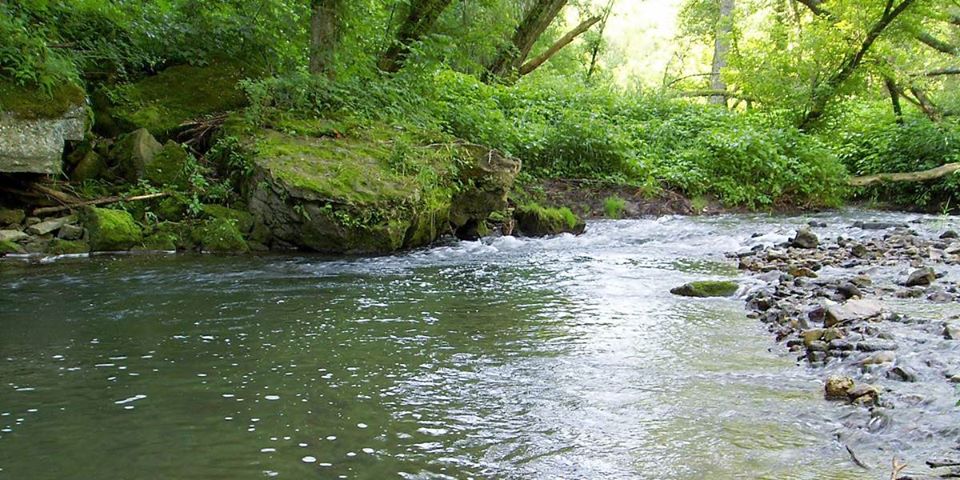 river tanat fishing