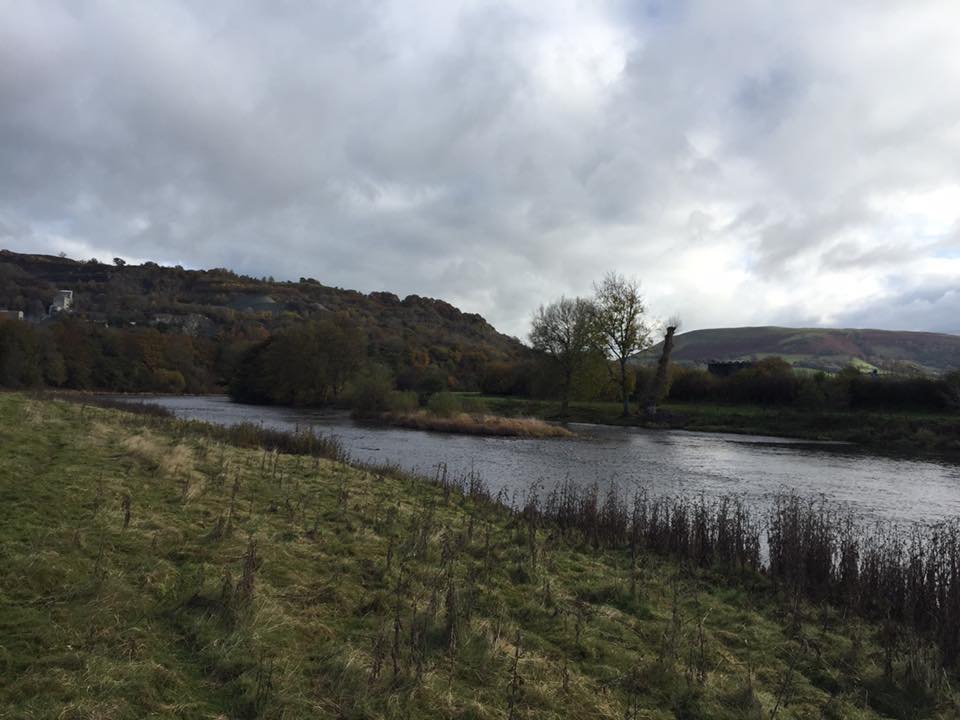 Groe Park and Irfon Angling Club: River Wye - Fishing in Wales