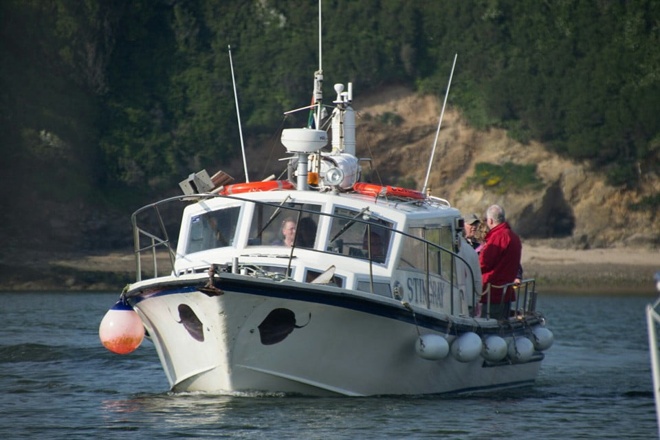 stingray angling charter