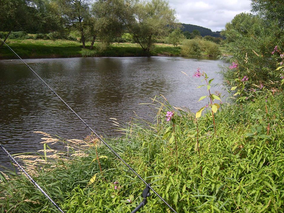 wyecliff fishery river wye