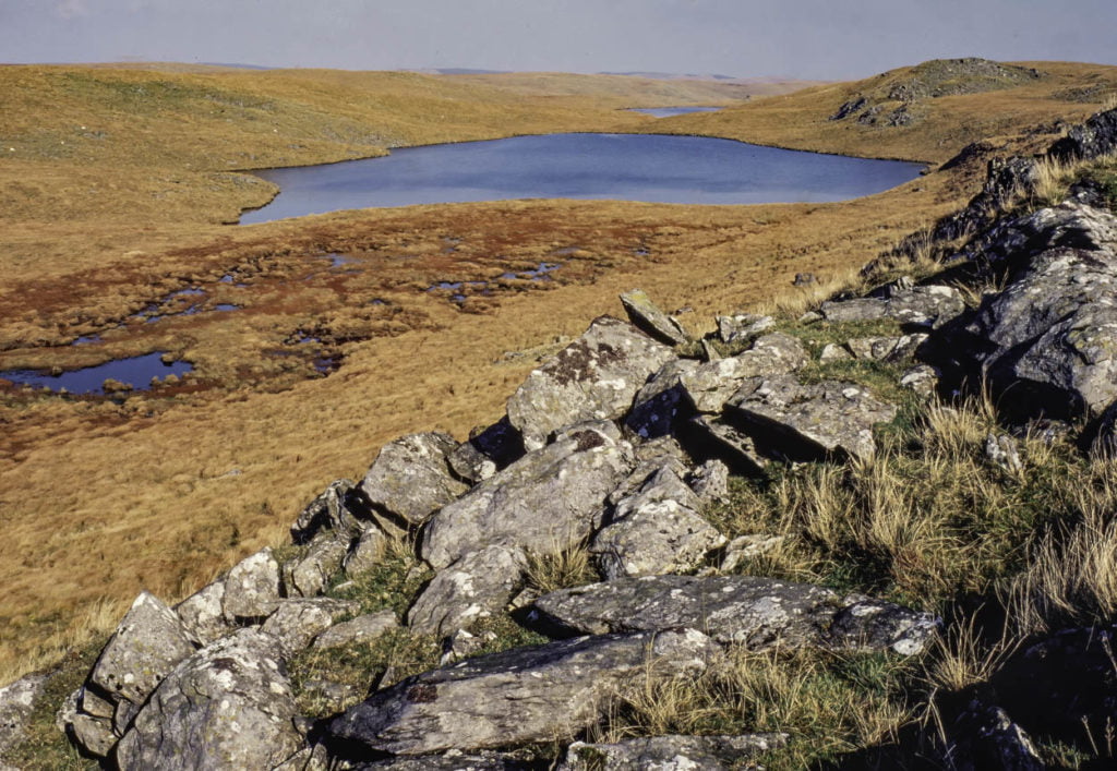 Llyn Cerrig Llwyddion