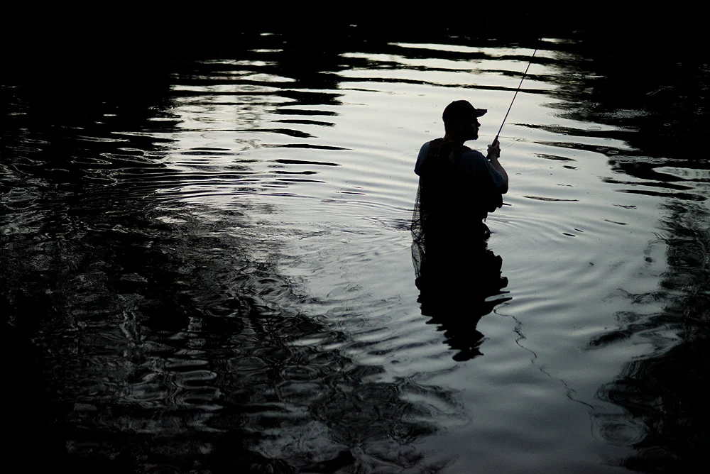 Welsh Fishing blogs