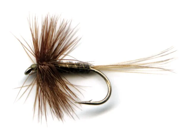 Adams Fly Pattern History - RiverKeeper Flies