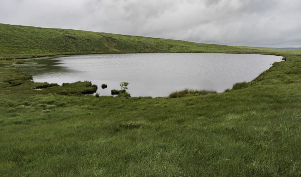 Llyn Carw