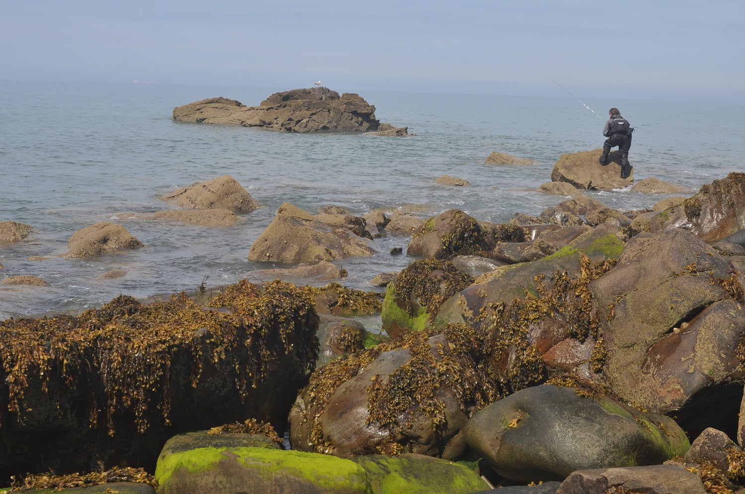 Lure fishing for bass