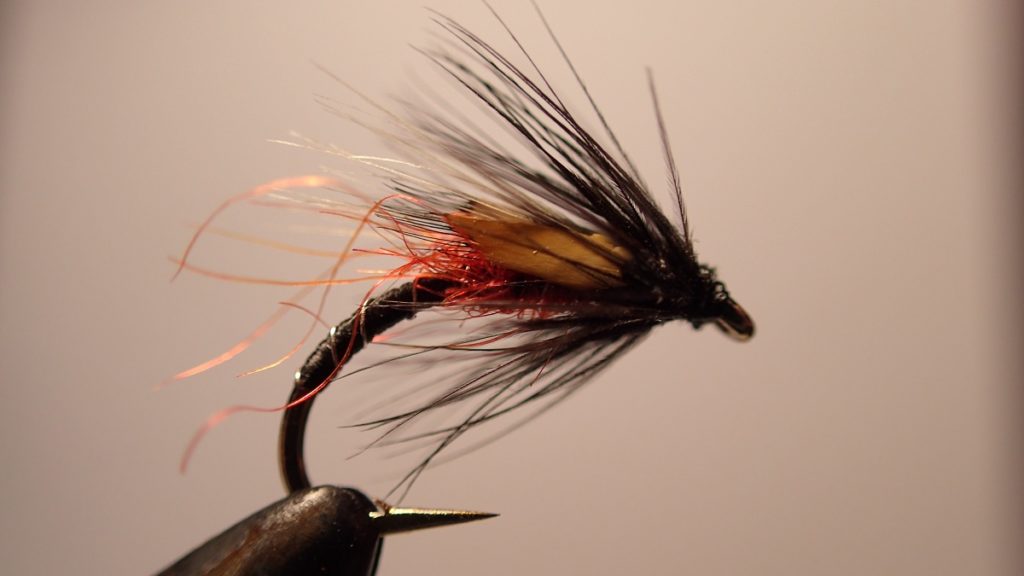 buzzer fly pattern for wild trout