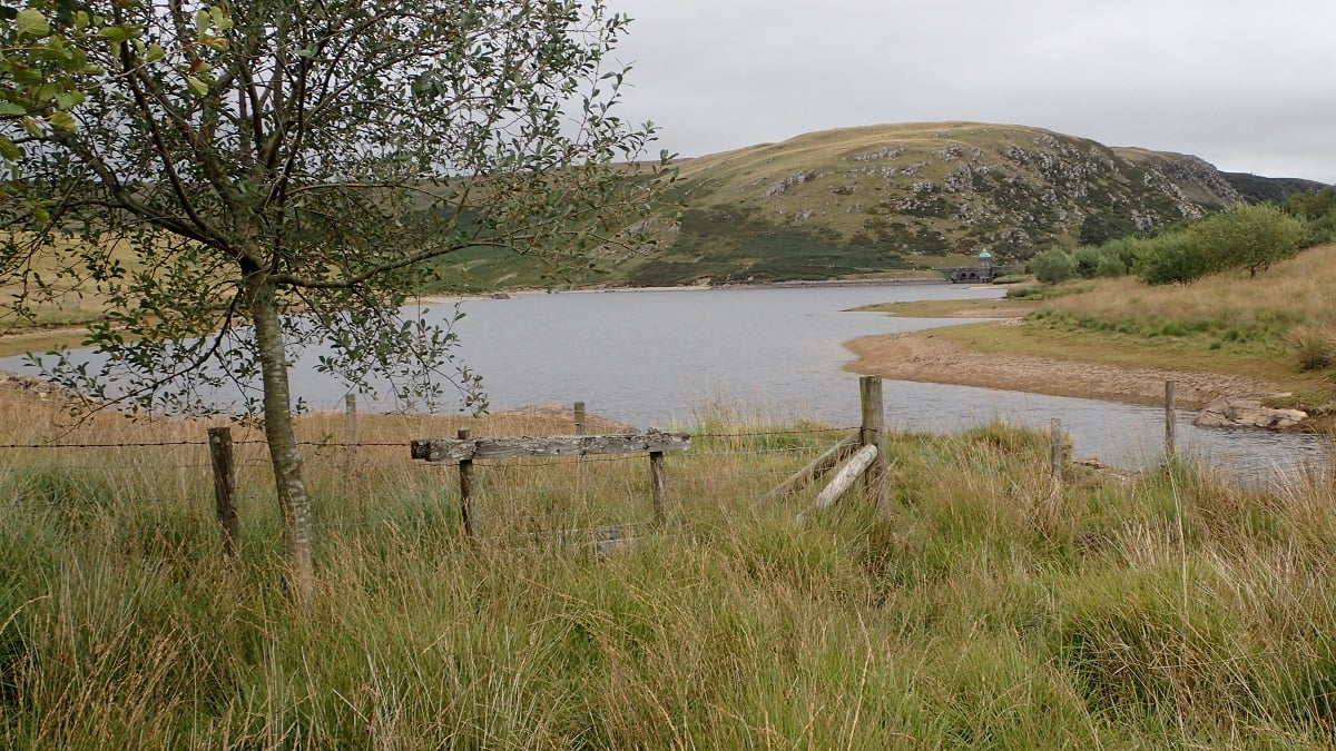 Fly Fishing For Wild Trout In Natural Lakes and Reservoirs Which