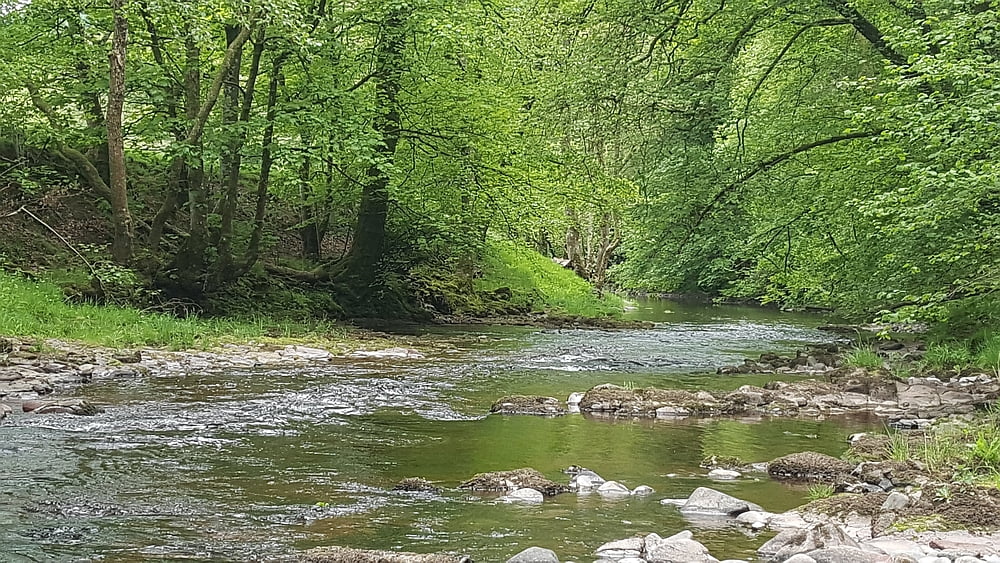 Fly Fishing the River Usk & Tributaries - Fishing in Wales