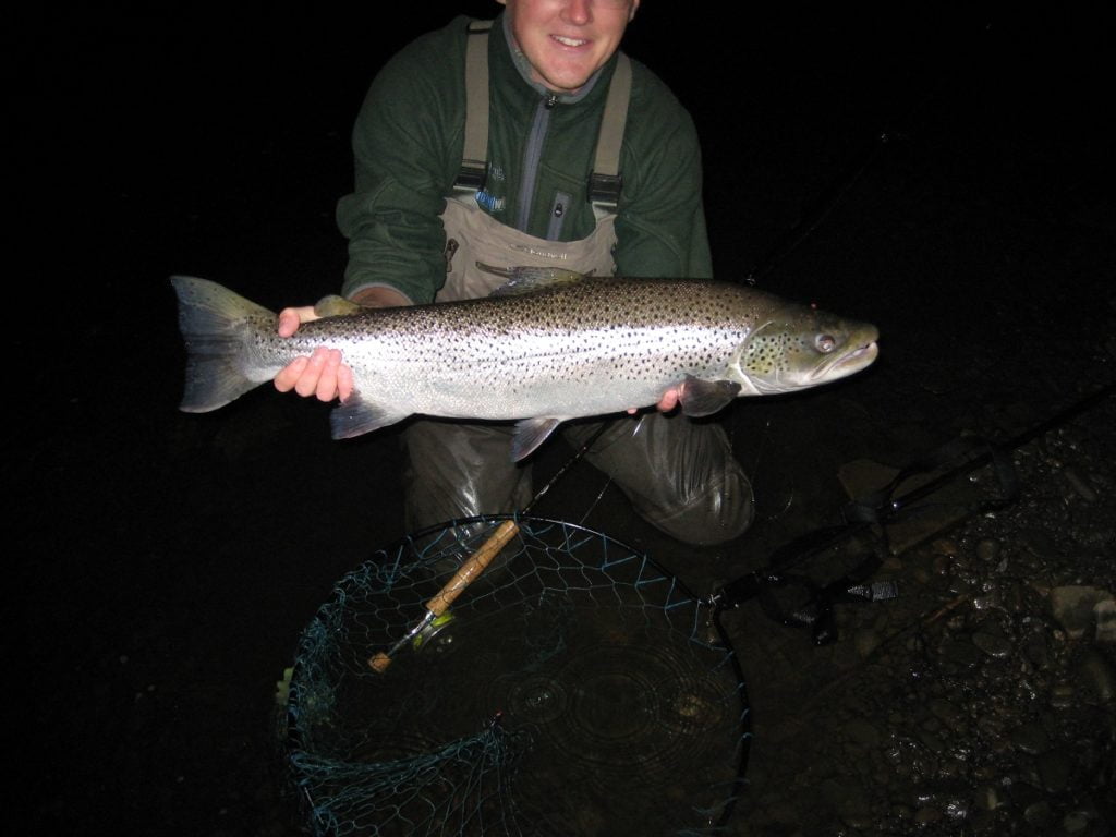 a big welsh sea trout
