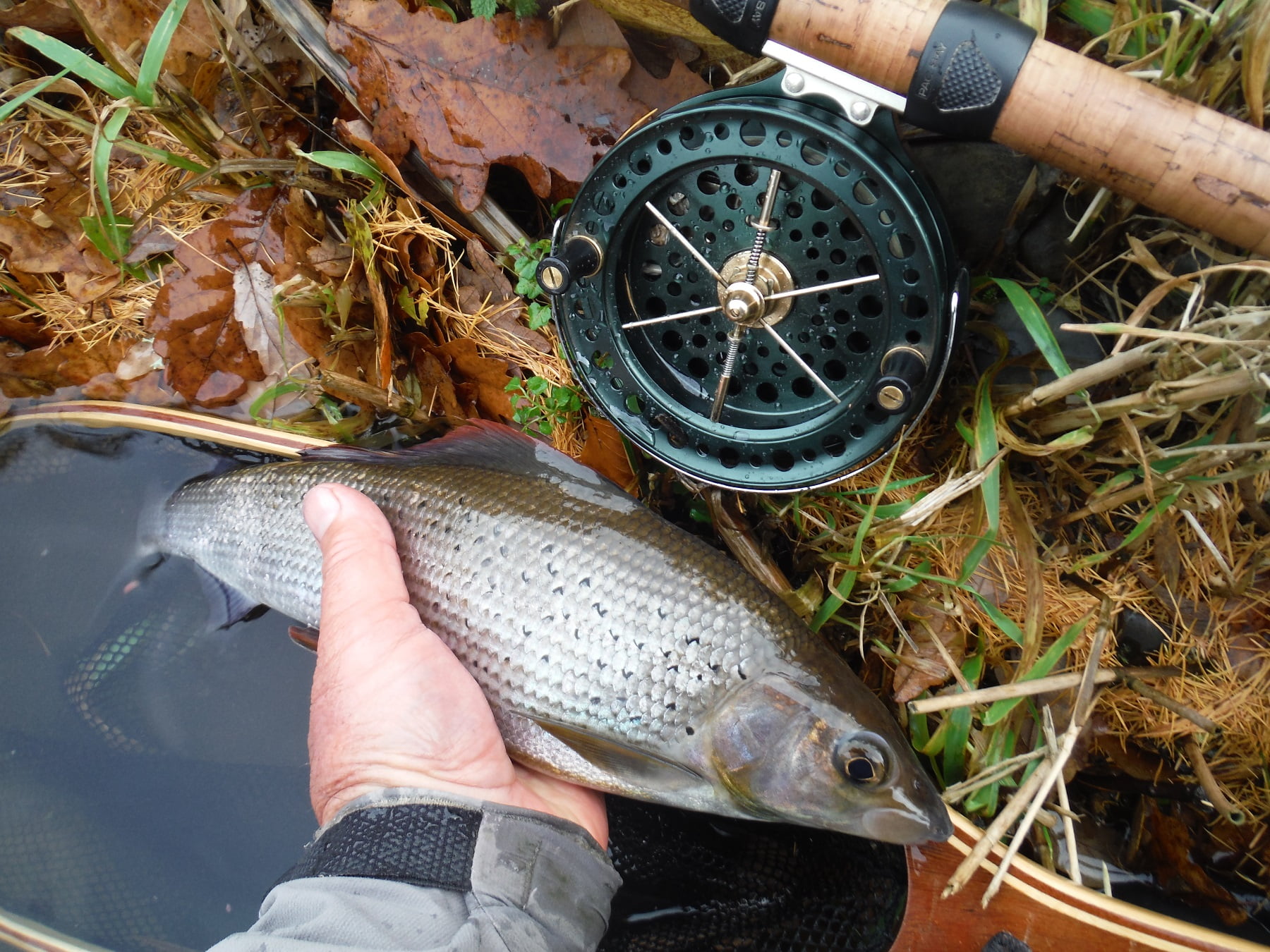 Trotting for Grayling - How To Guide - Fishing in Wales