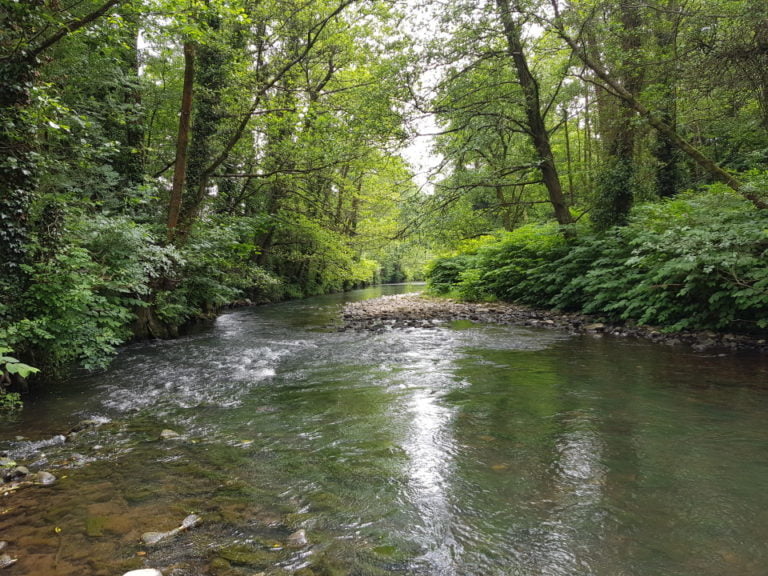 Fly Fishing the River Usk & Tributaries Fishing in Wales