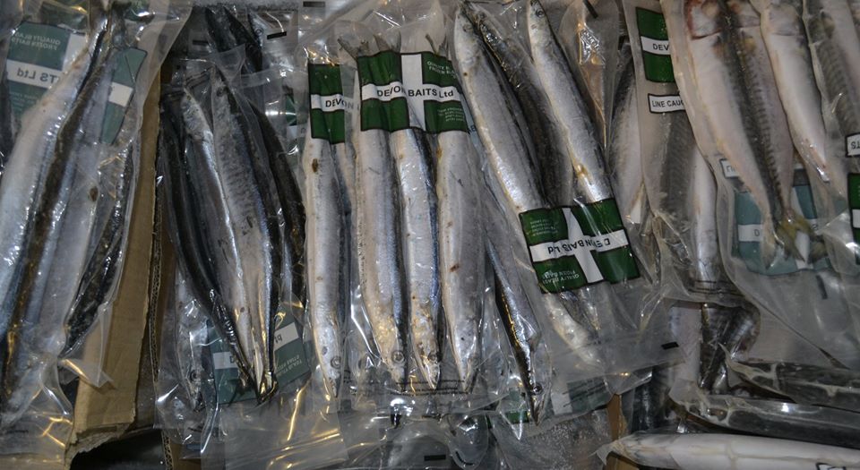 angling mad port talbot