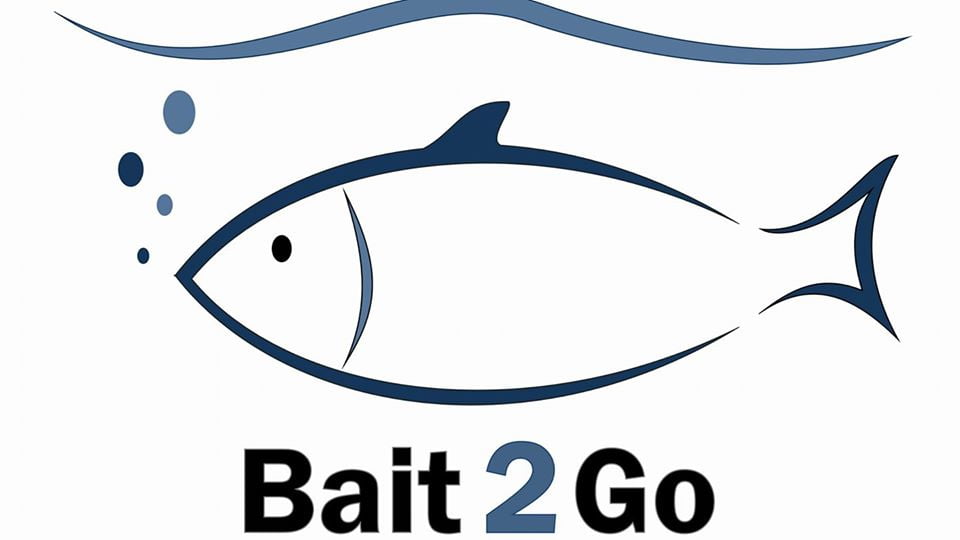 bait 2 go sea fishing bait