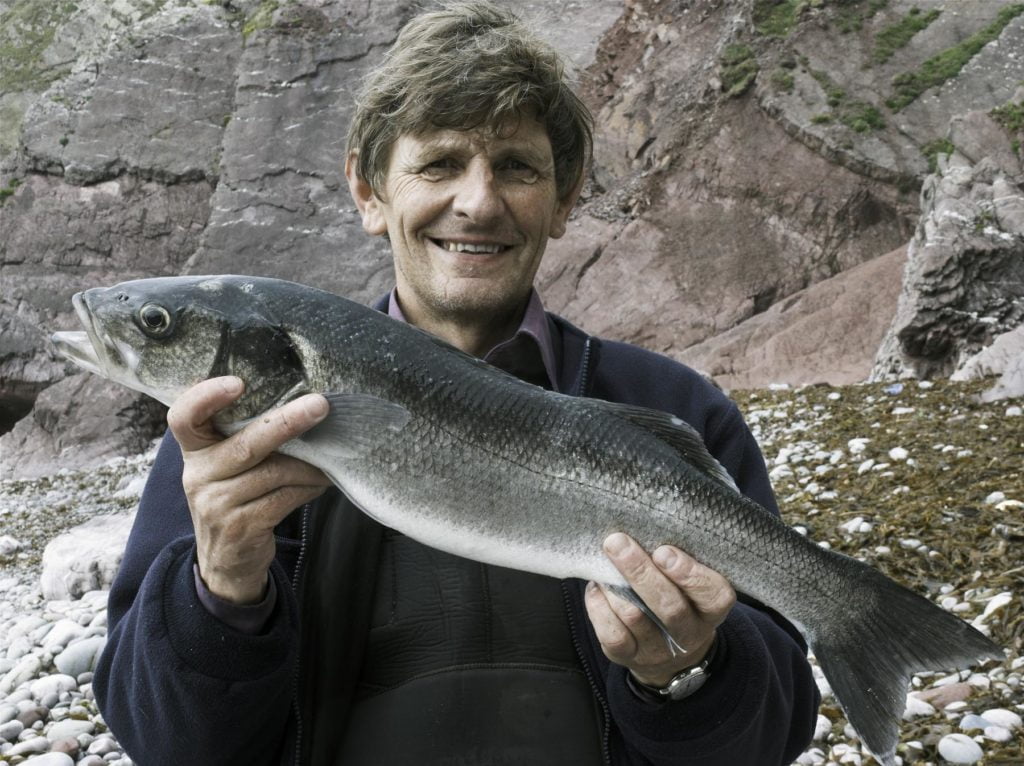 sea bass fishing wales