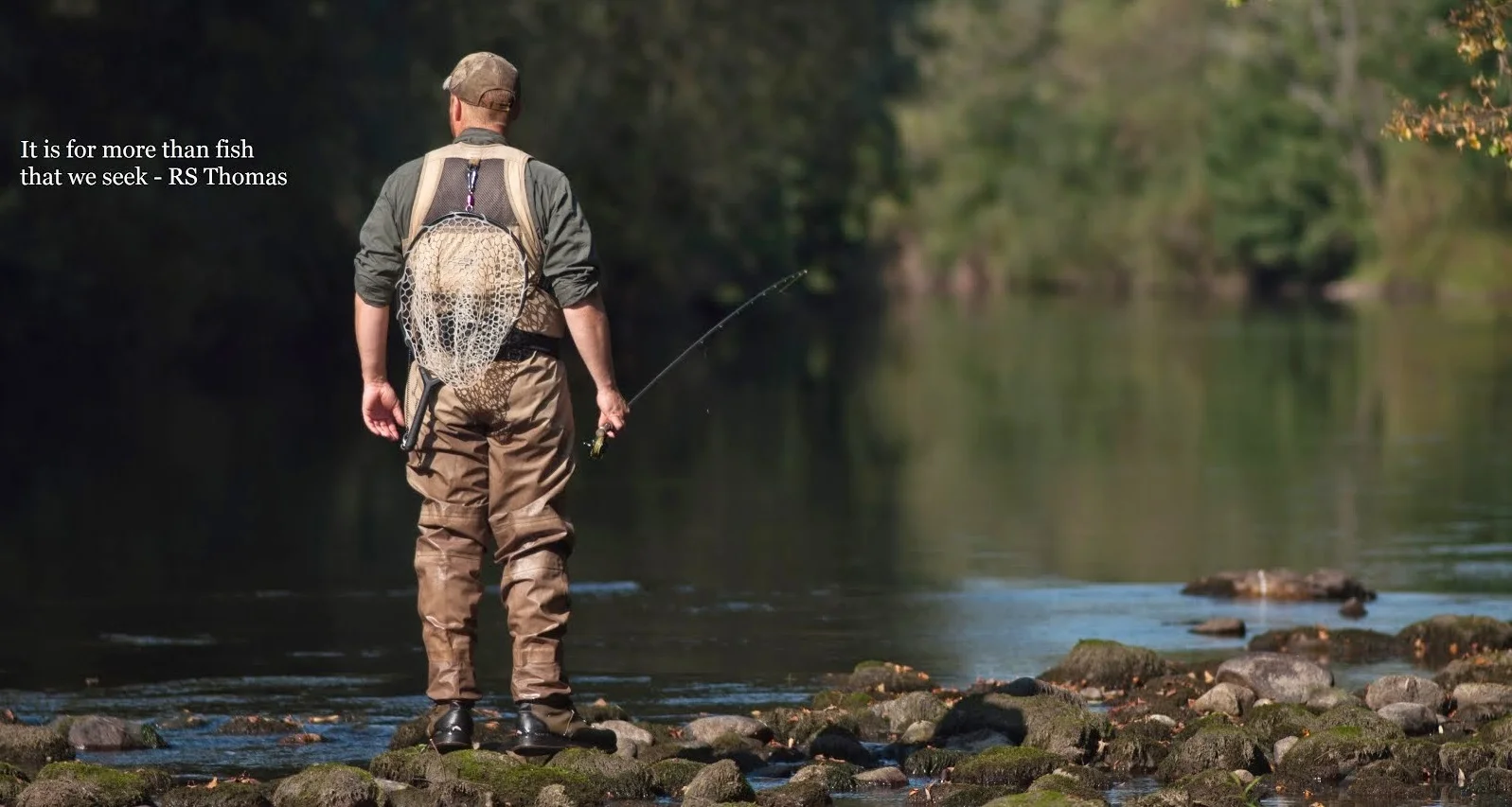 Welsh fishing blogs