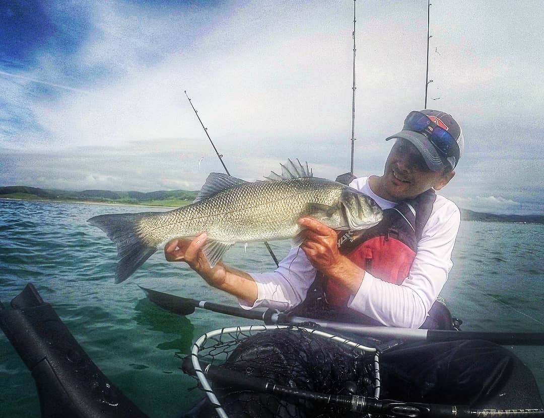 Kayak fishing for bass in Wales