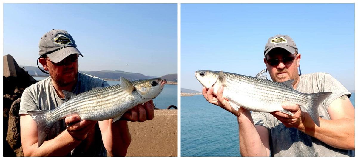 Mullet fishing Wales