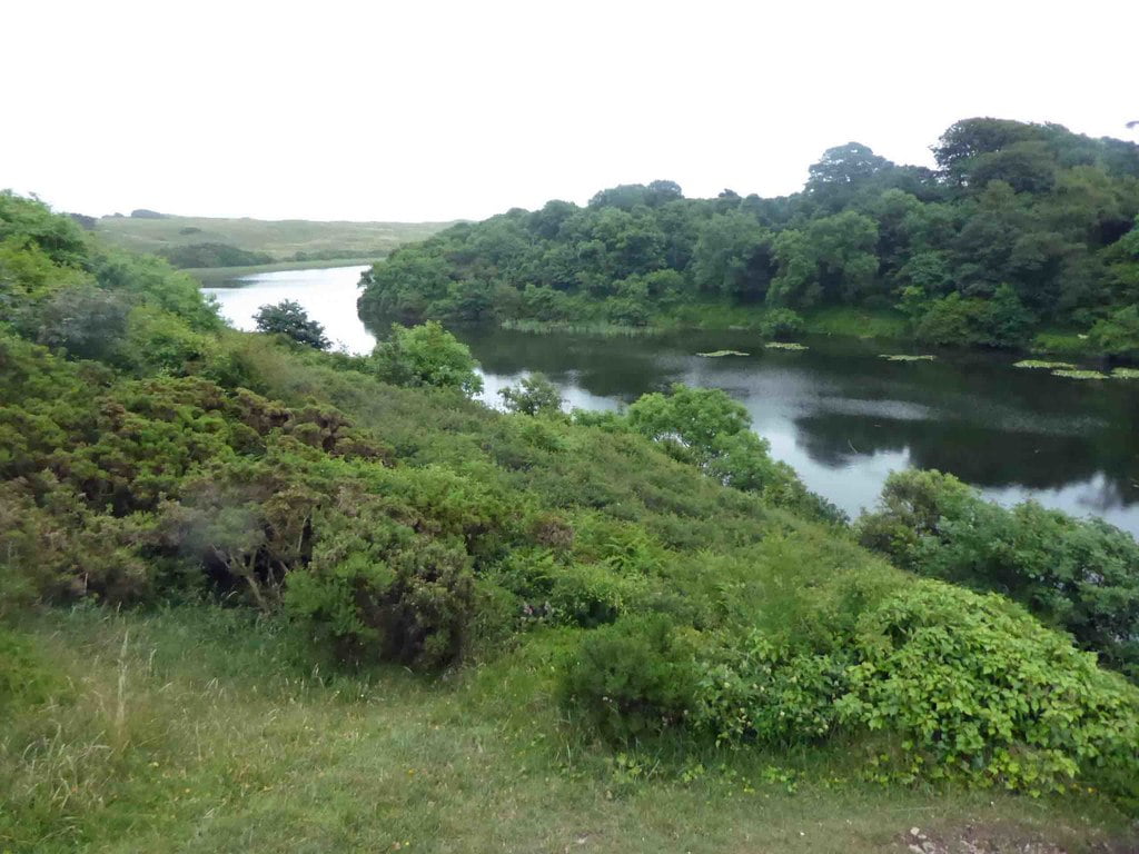 Bosherston lily ponds fishing