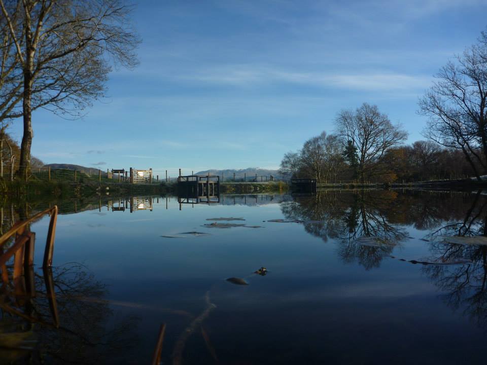 bryn y gwin fishery