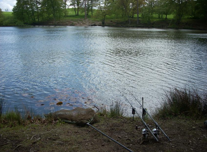 fachwen pool fishing