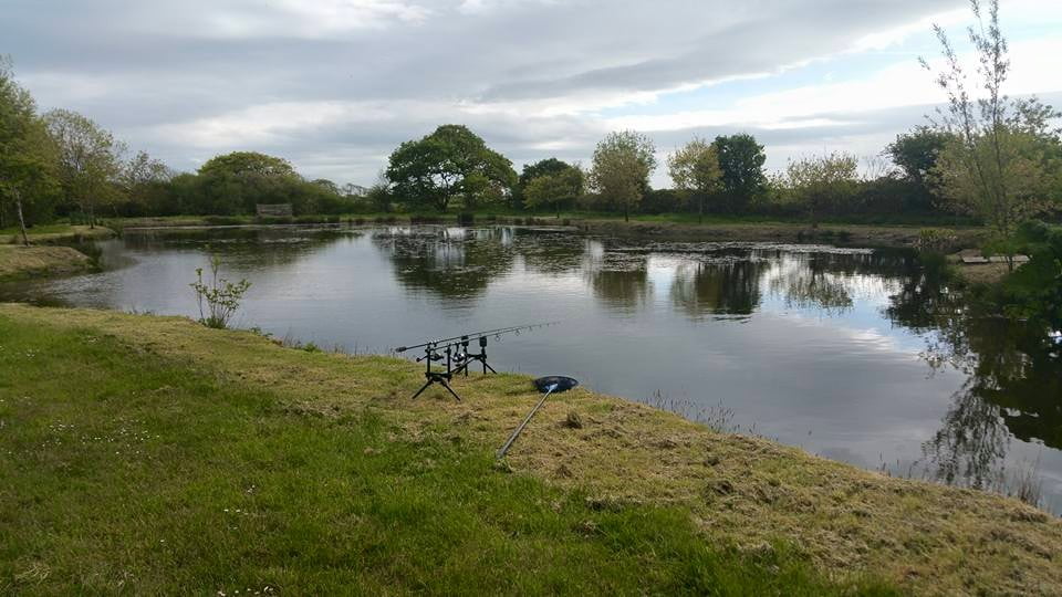 ginger hill fishery