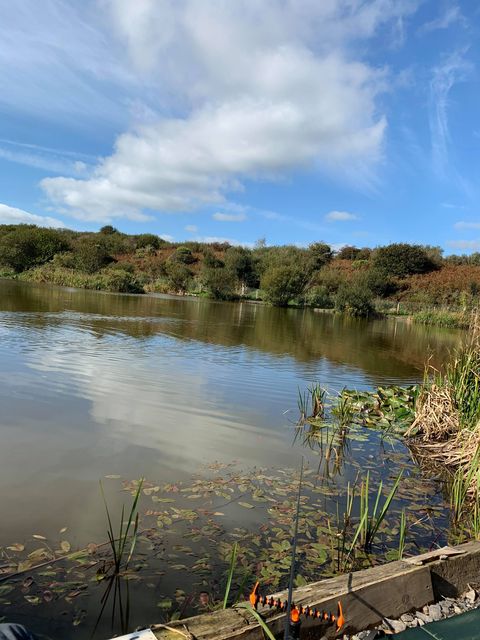 llyn blodlyn