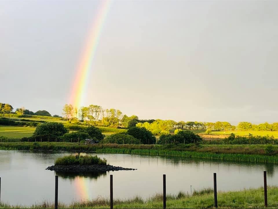 Llyn Cae Tŷ Nant Fishery