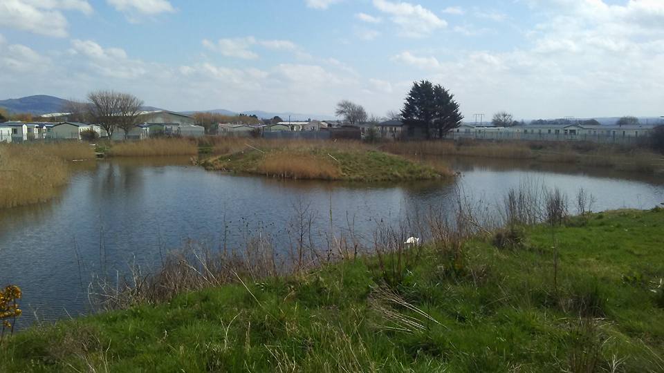 rhyl cut fishing lake