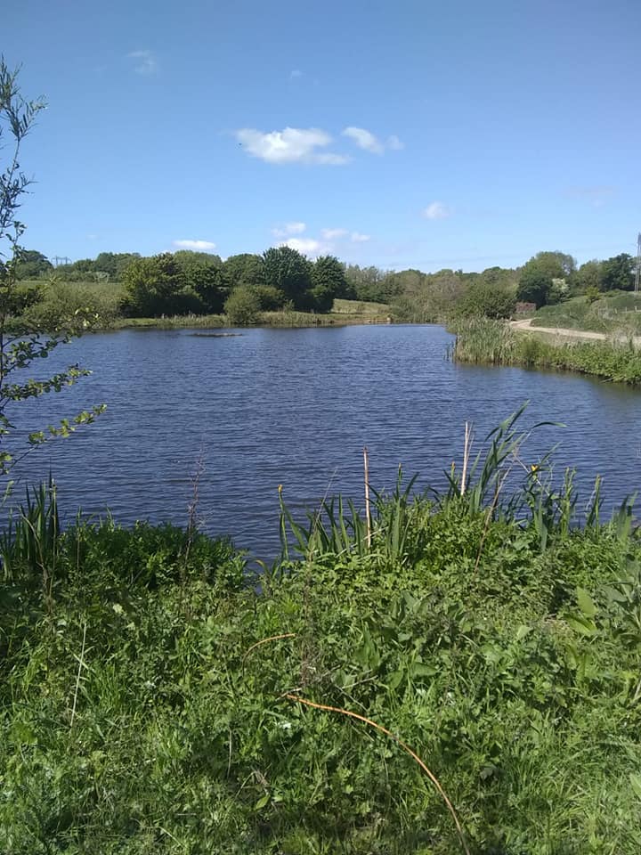 sontley pools Wrexham