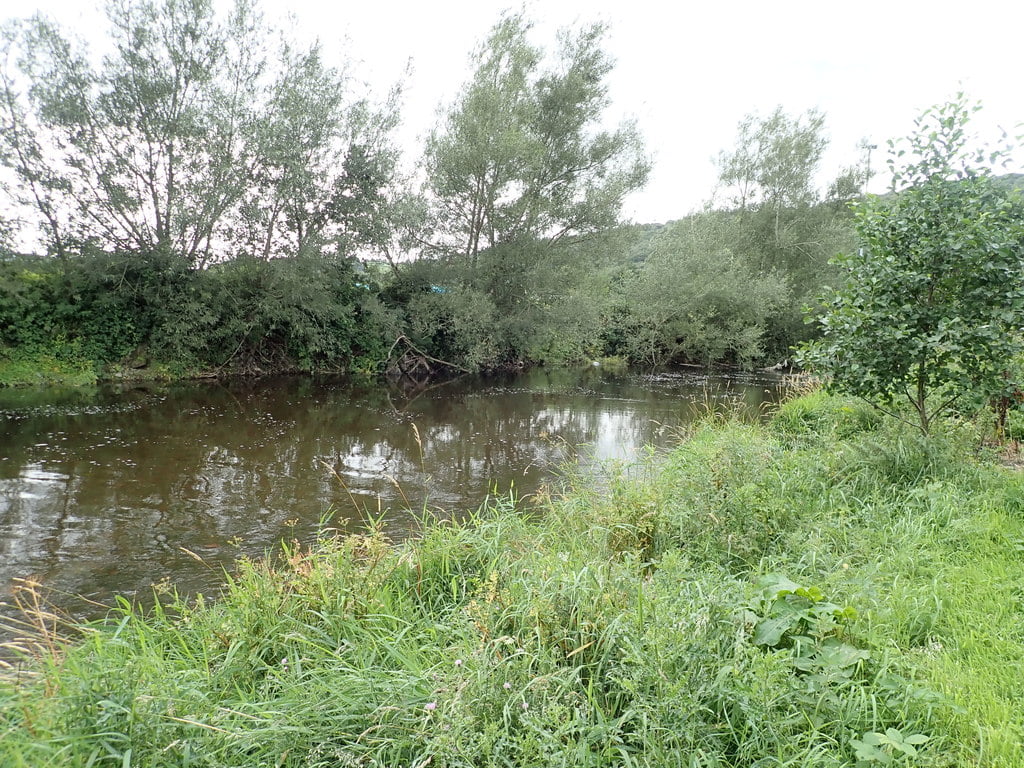 River Severn Llanidloes - Free Stretch - Fishing in Wales