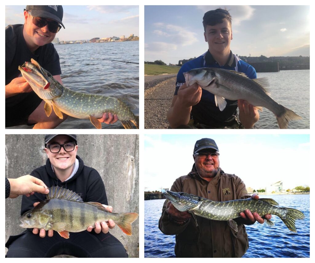 Pike, perch and bass from Cardiff bay barrage lake